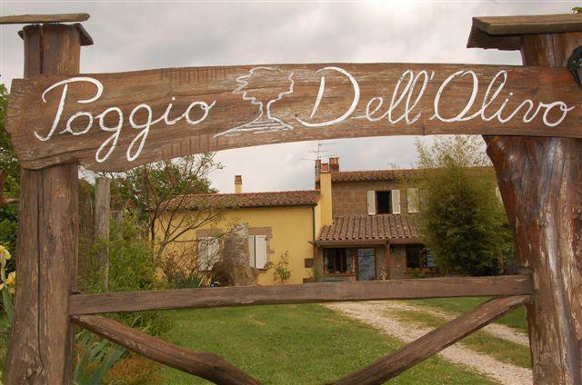 Вилла Poggio Dell'Olivo Питильяно Экстерьер фото